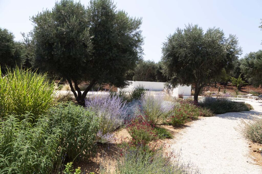 Giardino In Villa Con Trulli E Piscina Ad Ostuni Zizzi Garden Center